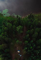 "Heathers In Bloom In A Serene, Picturesque Landscape."